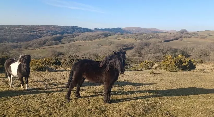 Hotelli The Craft House