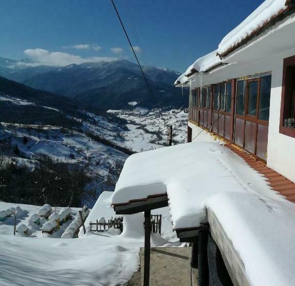 پانسیون Eco Village Jasavić Ii