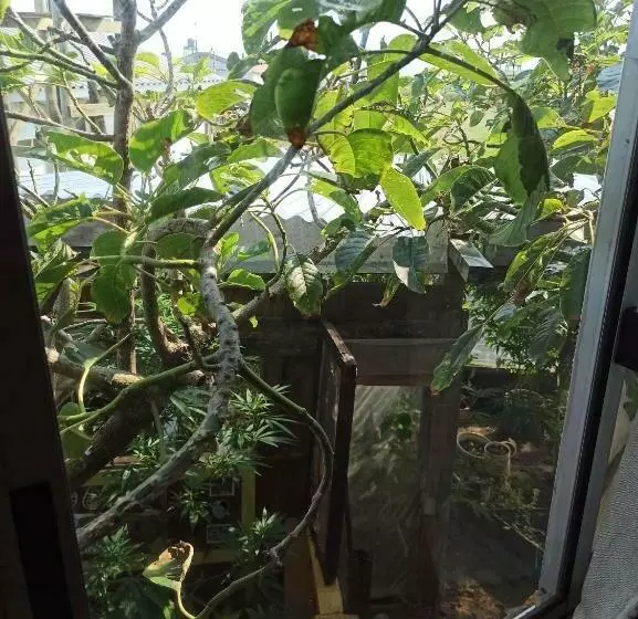 Majatalo Bunker Hostel