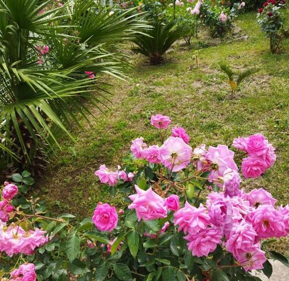 تختخواب و صبحانه Apartmani Srma Srma 2