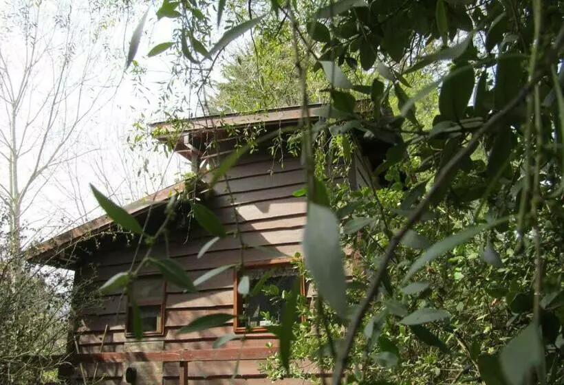 Aamiaismajoitus (B&B) Hospedaje Las Gardenias