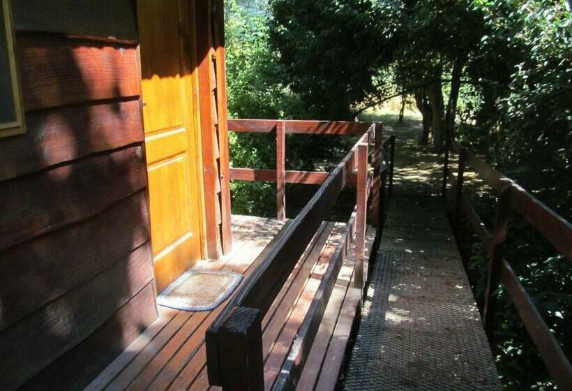 Bed & Breakfast Hospedaje Las Gardenias