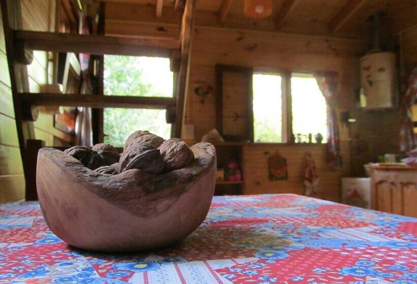 Bed & Breakfast Hospedaje Las Gardenias