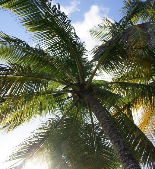 تختخواب و صبحانه Les Jardins De Cousinière