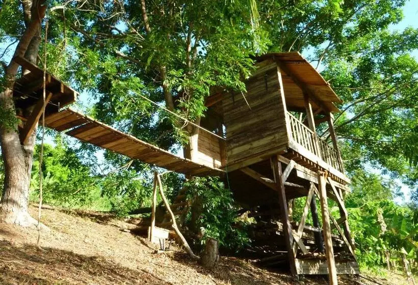 تختخواب و صبحانه Les Jardins De Cousinière