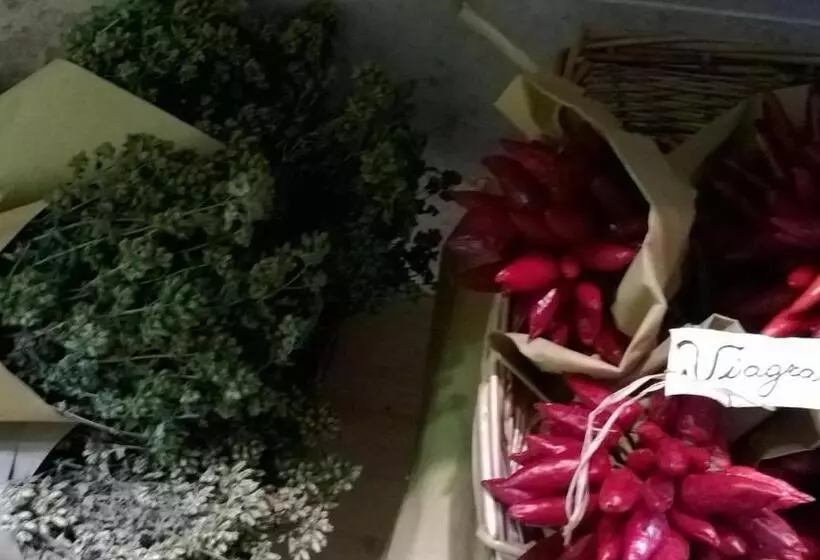 Aamiaismajoitus (B&B) Life S Hotel B