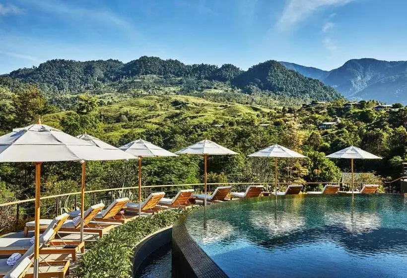 Hacienda Altagracia, Auberge Resorts Collection