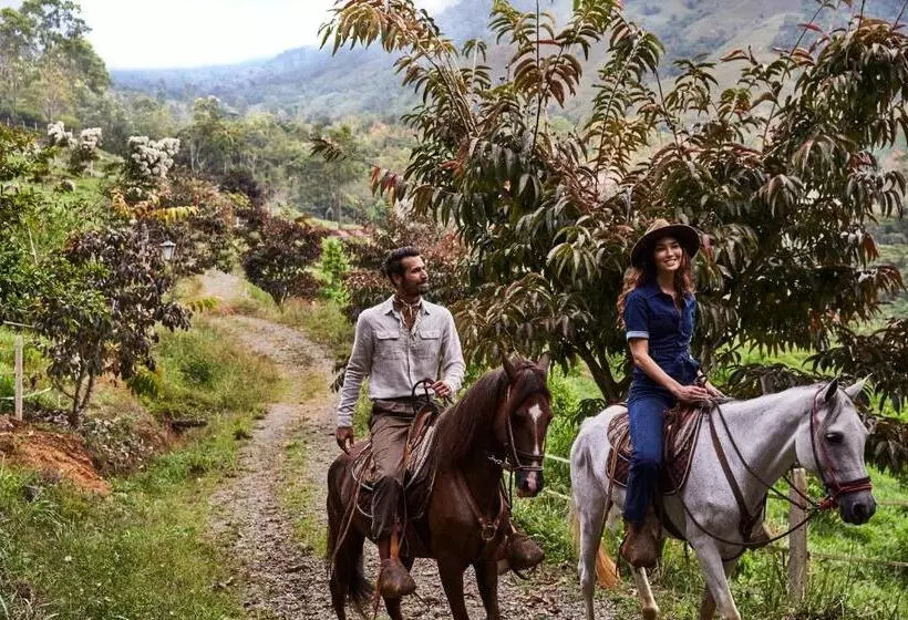 Hacienda Altagracia, Auberge Resorts Collection