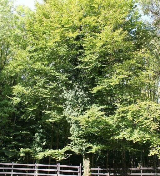 هتل Cantoniera D Umbra Agriturismo