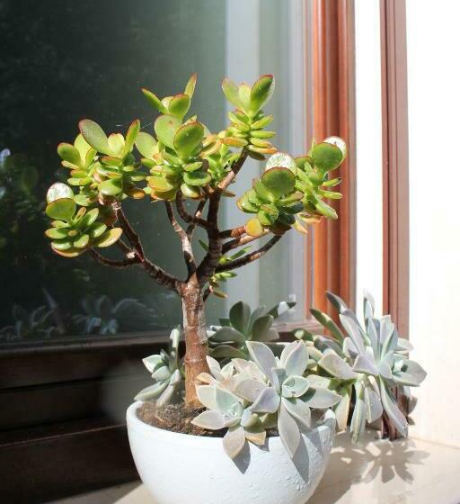 هتل Cantoniera D Umbra Agriturismo