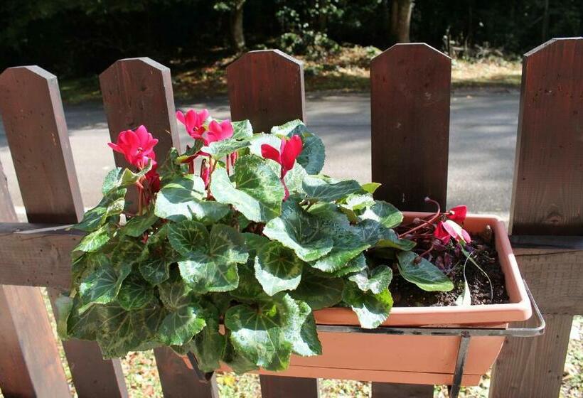 هتل Cantoniera D Umbra Agriturismo