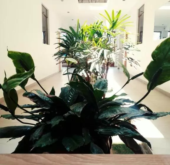 Hotelli Isla Vela Paracas