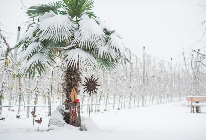 בית מלון כפרי Vettererhof