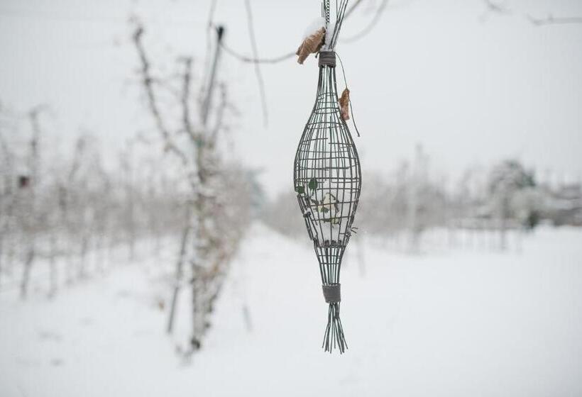 בית מלון כפרי Vettererhof