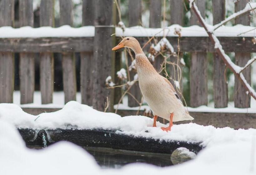 בית מלון כפרי Vettererhof