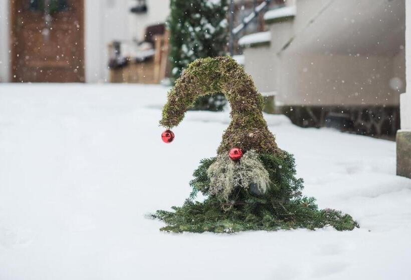 בית מלון כפרי Vettererhof