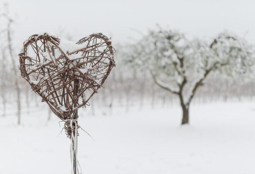 בית מלון כפרי Vettererhof