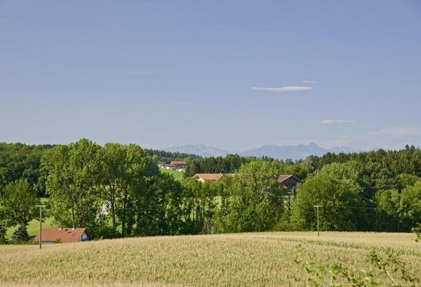 פנסיון Ferienhof Dirnberg