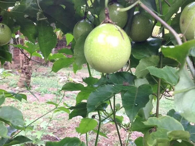 ペンション The Villa Sun Shine