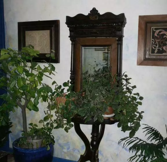 Pension Giulia
