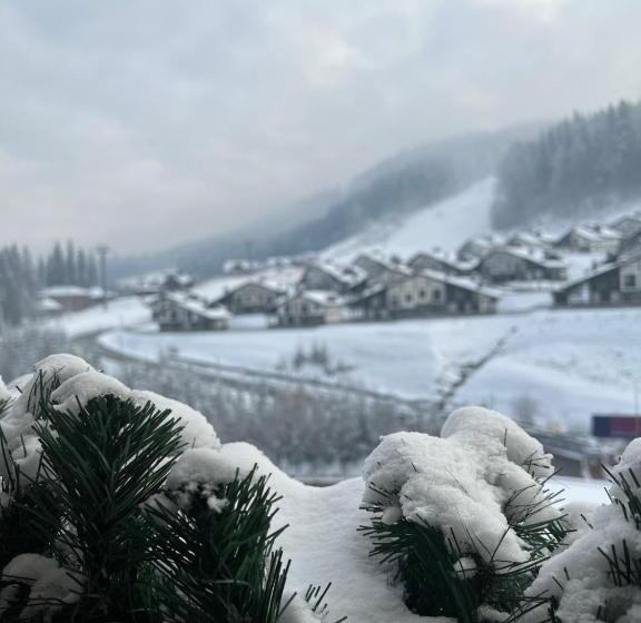 בית מלון כפרי Chalet Blanc