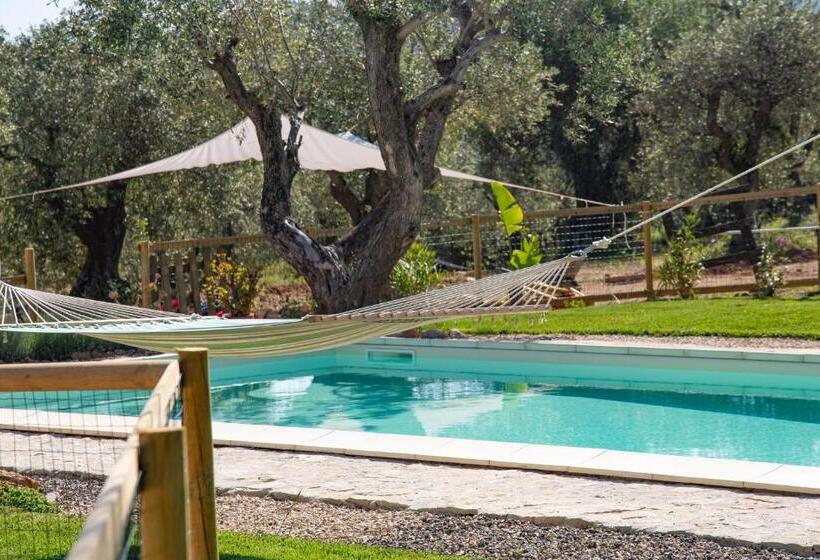 Oliveto Bed And Breakfast