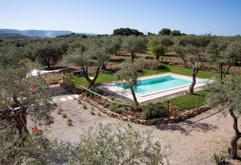 Oliveto Bed And Breakfast