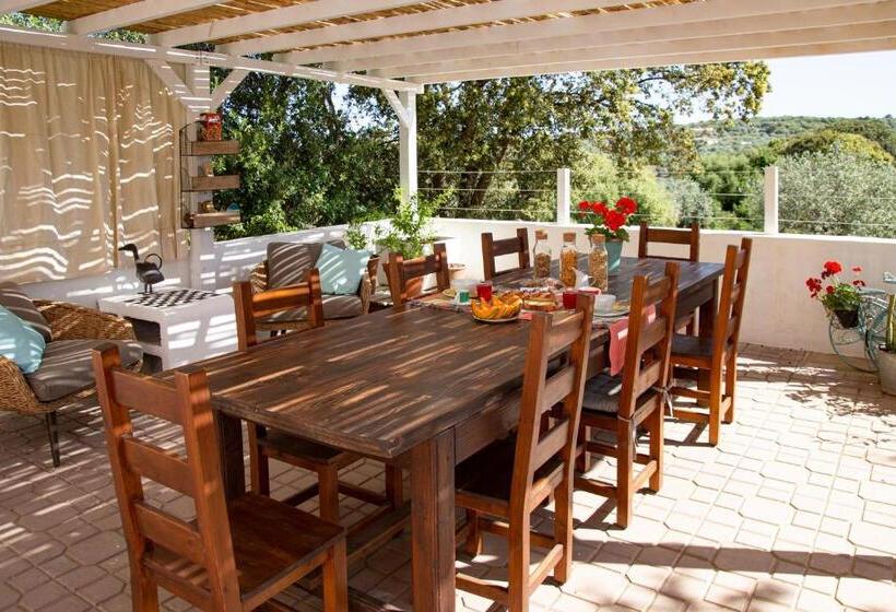 Oliveto Bed And Breakfast