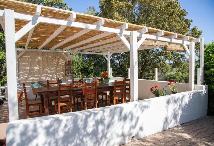 Oliveto Bed And Breakfast