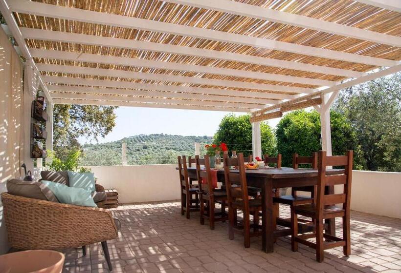 Oliveto Bed And Breakfast