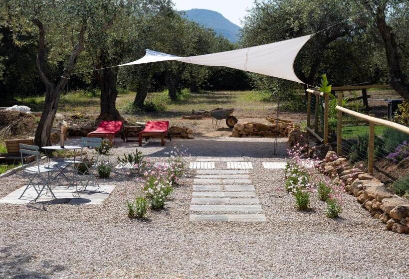 Oliveto Bed And Breakfast