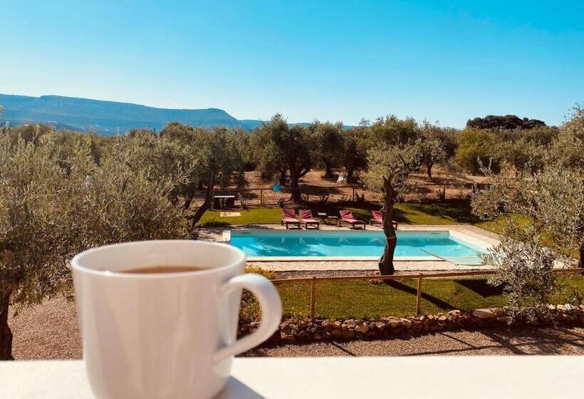 Oliveto Bed And Breakfast