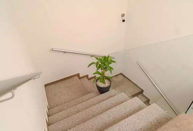 Real Naviero Hotel Ejecutivo