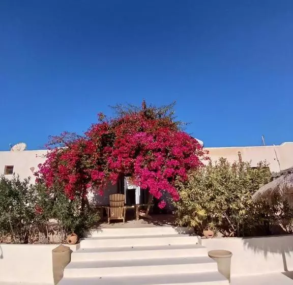 Aamiaismajoitus (B&B) Menzel Caja