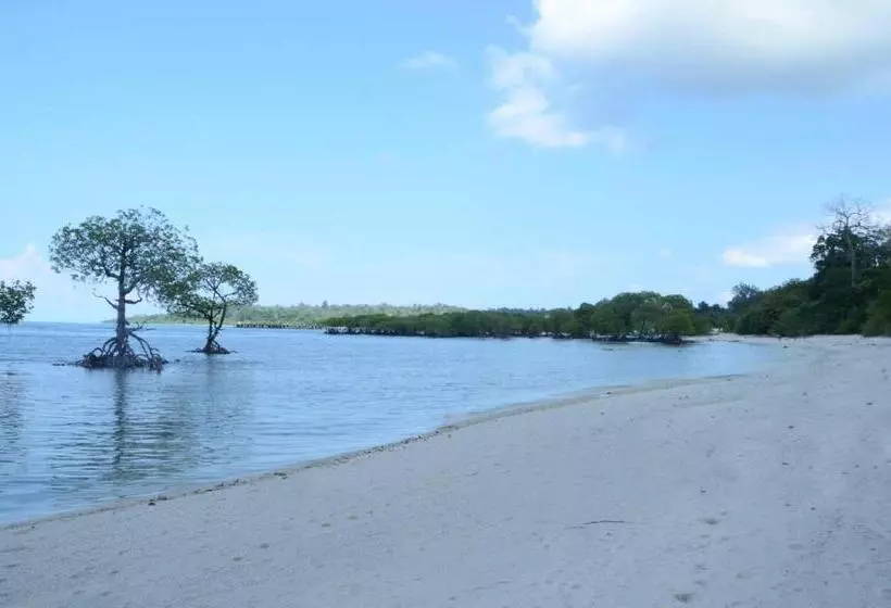 Coconhuts Beach Resort