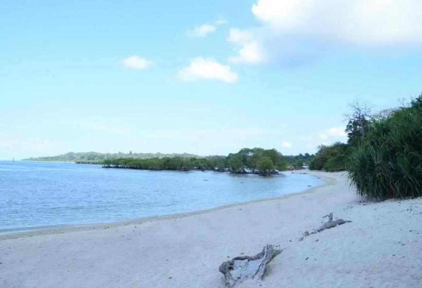 Coconhuts Beach Resort