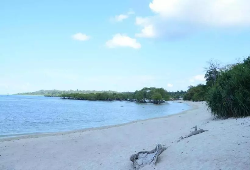 Coconhuts Beach Resort