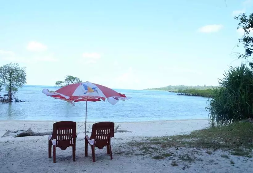 Coconhuts Beach Resort