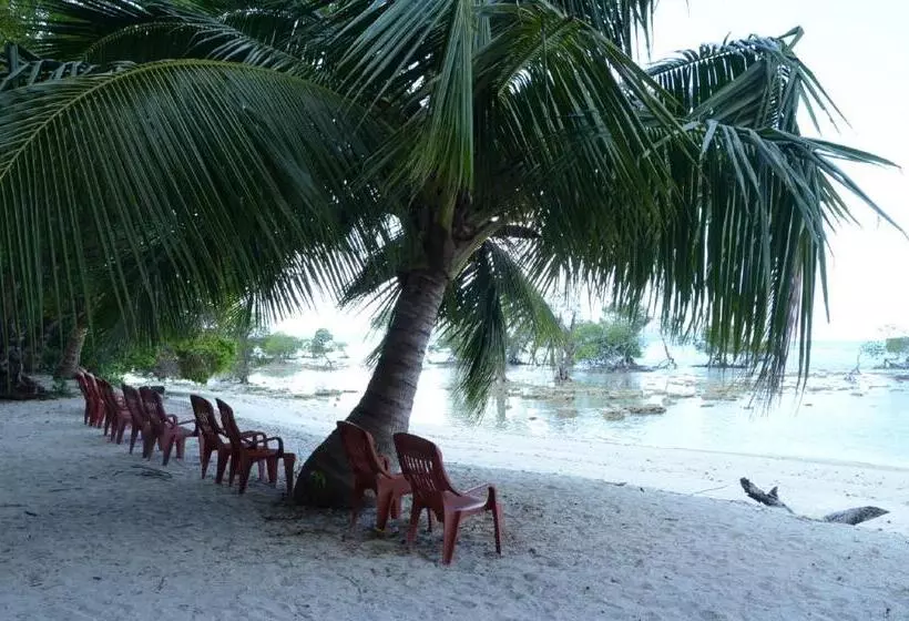 Coconhuts Beach Resort