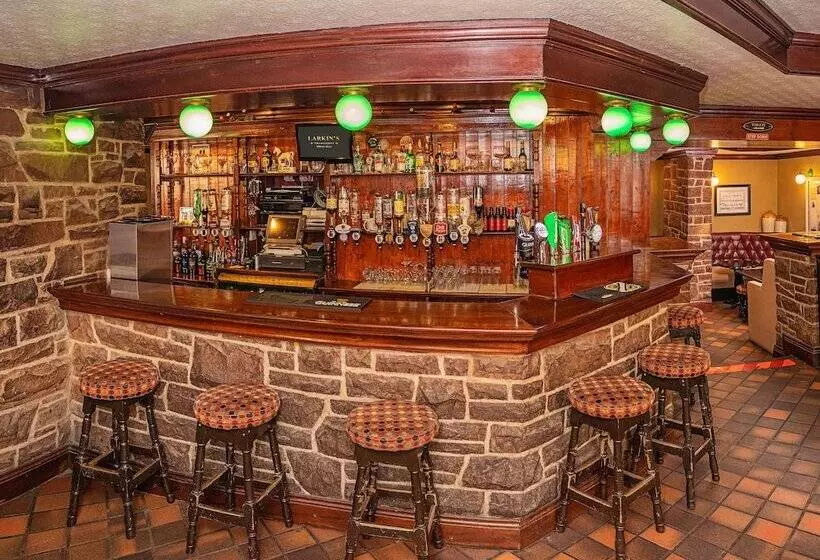 Larkins Pub Restaurant And B&b