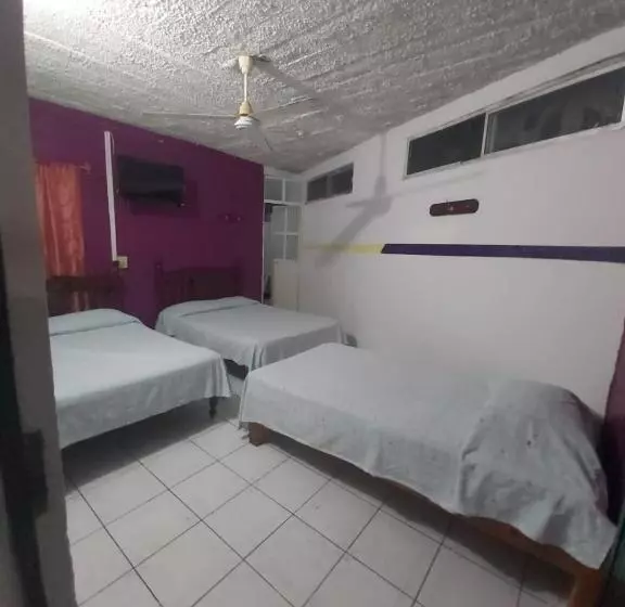 هتل Ayalamar Manzanillo