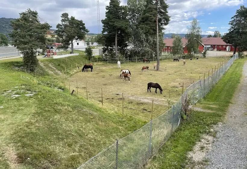 ホテル Biri Arena Overnatting