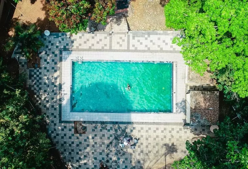 ホテル Vythiri Wild Forest Resort