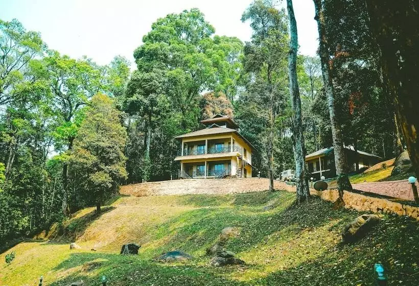 ホテル Vythiri Wild Forest Resort