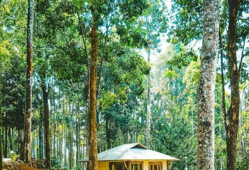 ホテル Vythiri Wild Forest Resort