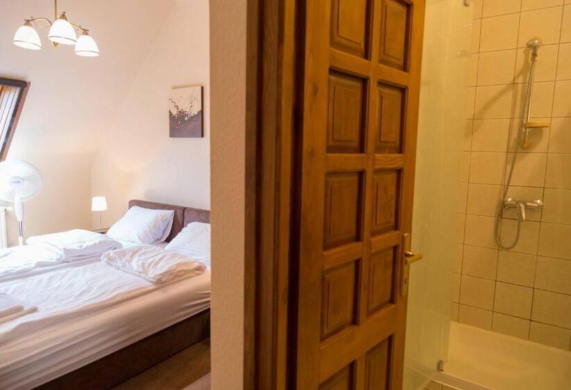 بنسيون Arina Villa