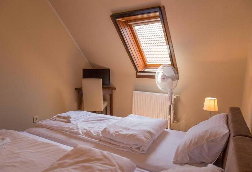 بنسيون Arina Villa