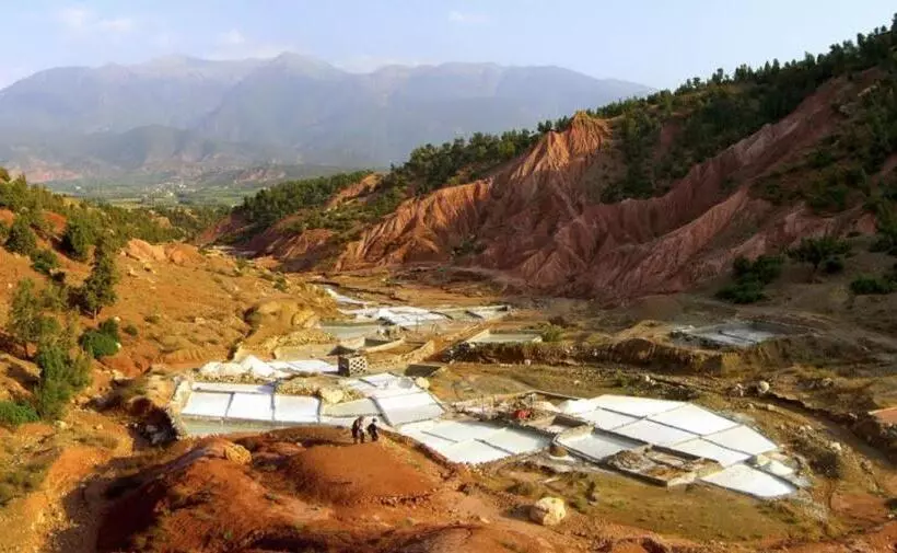 Majatalo Domaine Malika   Adults Only