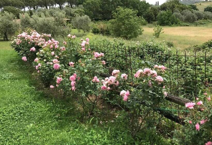 تختخواب و صبحانه Casale Vicino Al Golf Nazionale