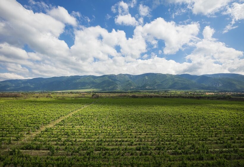 בית מלון כפרי Maison & Chateau Copsa